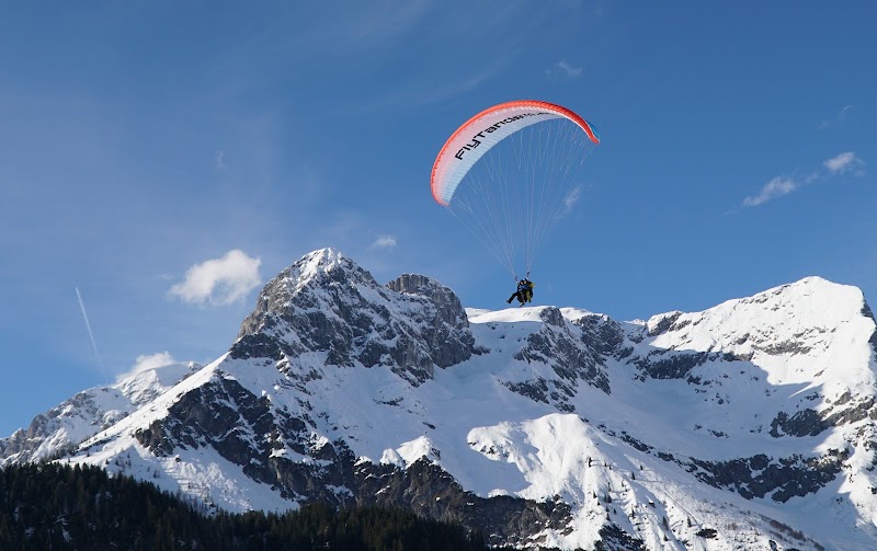 FlyTandem Paragliding Werfenweng - FlyTandem Paragliding Werfenweng, Weng 149, 5453 Werfenweng, Austria