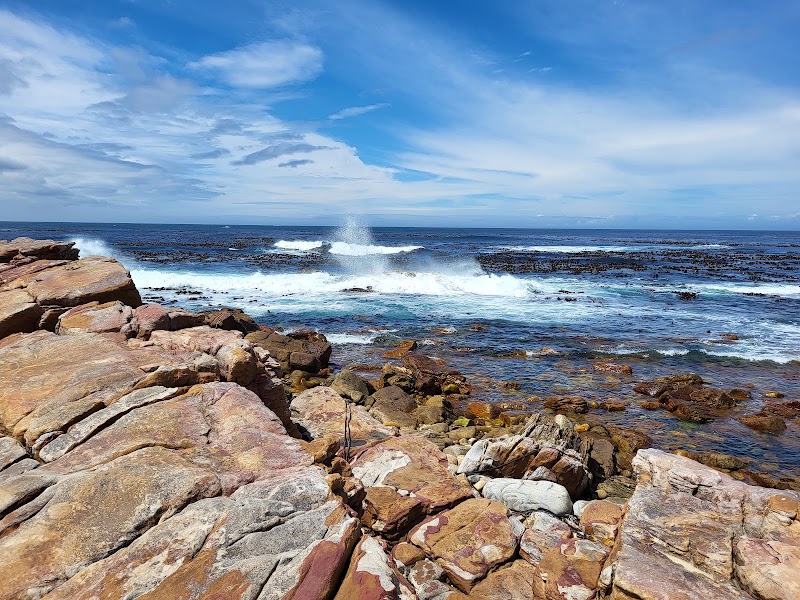 Cape of Good Hope - Cape of Good Hope, Cape Point Rd, Cape Peninsula, Cape Town, 8001, South Africa