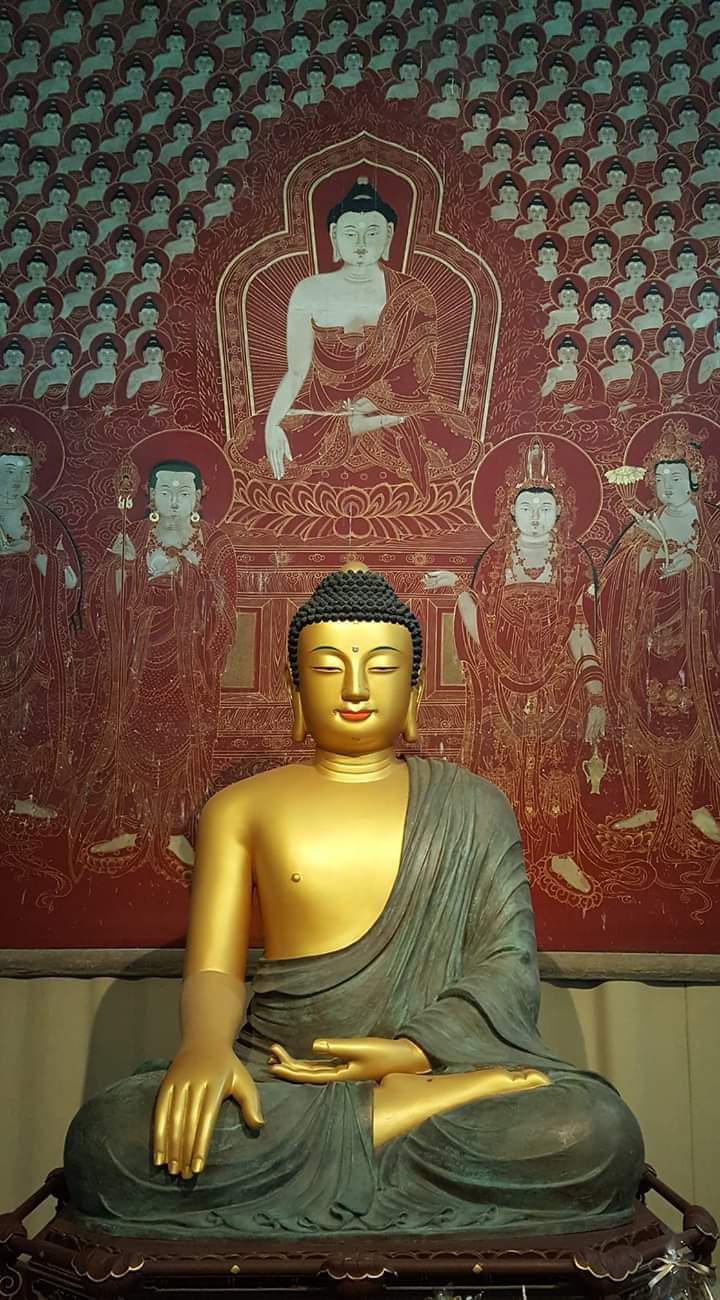 Tathagat Buddha Vihar - Tathagat Buddha Vihar, 683P+GXW, Priyadarshini Parisar East, Supela, Bhilai, Chhattisgarh 490020, India