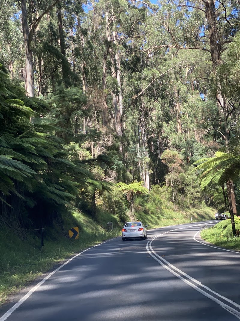 Tourism East - Tourism East, 1 Jarlo Dr, Lilydale VIC 3140, Australia