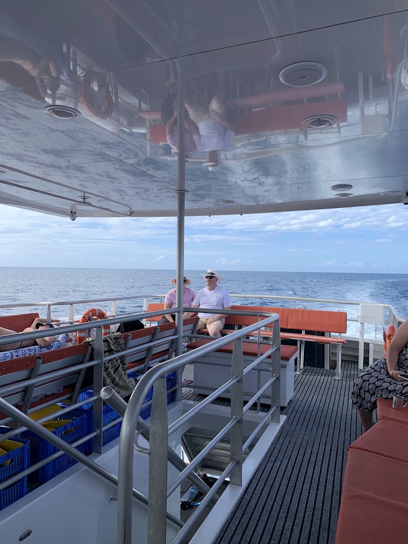 Wavelength Reef Cruises - Wavelength Reef Cruises Shop 6/43-47 Macrossan St, Port Douglas QLD 4877, Australia