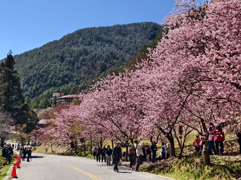 Wuling Farm - Wuling Farm No. 3-1號, Wuling Rd, Pingdeng Village, Heping District, Taichung City, Taiwan 42495