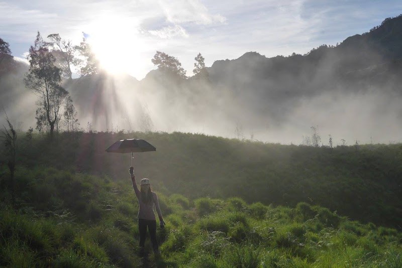 Mount Rinjani Trekking Services - Mount Rinjani Trekking Services, Jl. Cendrawasih No.8, Cakranegara Bar., Kec. Cakranegara, Kota Mataram, Nusa Tenggara Bar. 83239, Indonesia