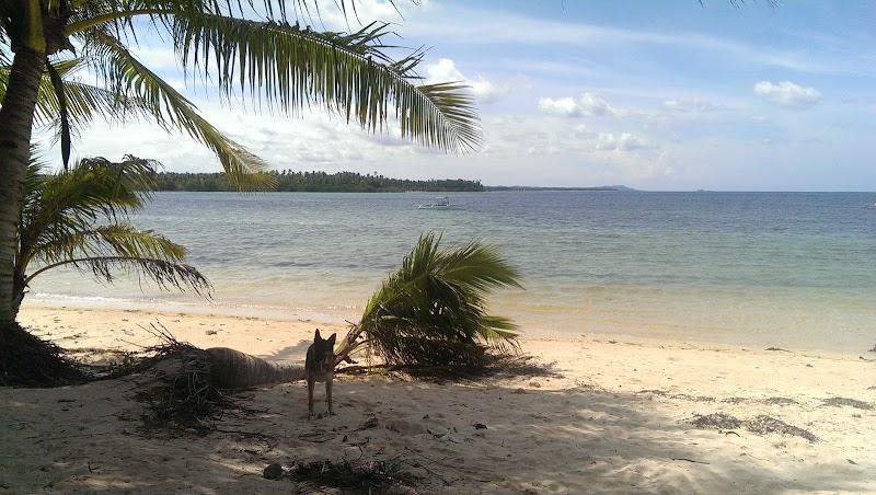 Lux Boutique Resort and Restaurant Siargao - Lux Boutique Resort and Restaurant Siargao R564+4J3 Cloud 9, General Luna, Surigao del Norte, Philippines