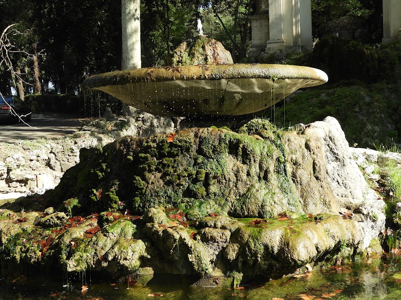 Fountain of Asclepius - Fountain of Asclepius, Piazzale del Fiocco, 00197 Roma RM, Italy
