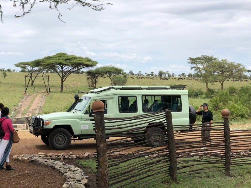 Dolphin Tours & Safaris Ltd - Dolphin Tours & Safaris Ltd, Plot # 32, New Mkuyuni Mwanza TZ, 1906, Tanzania