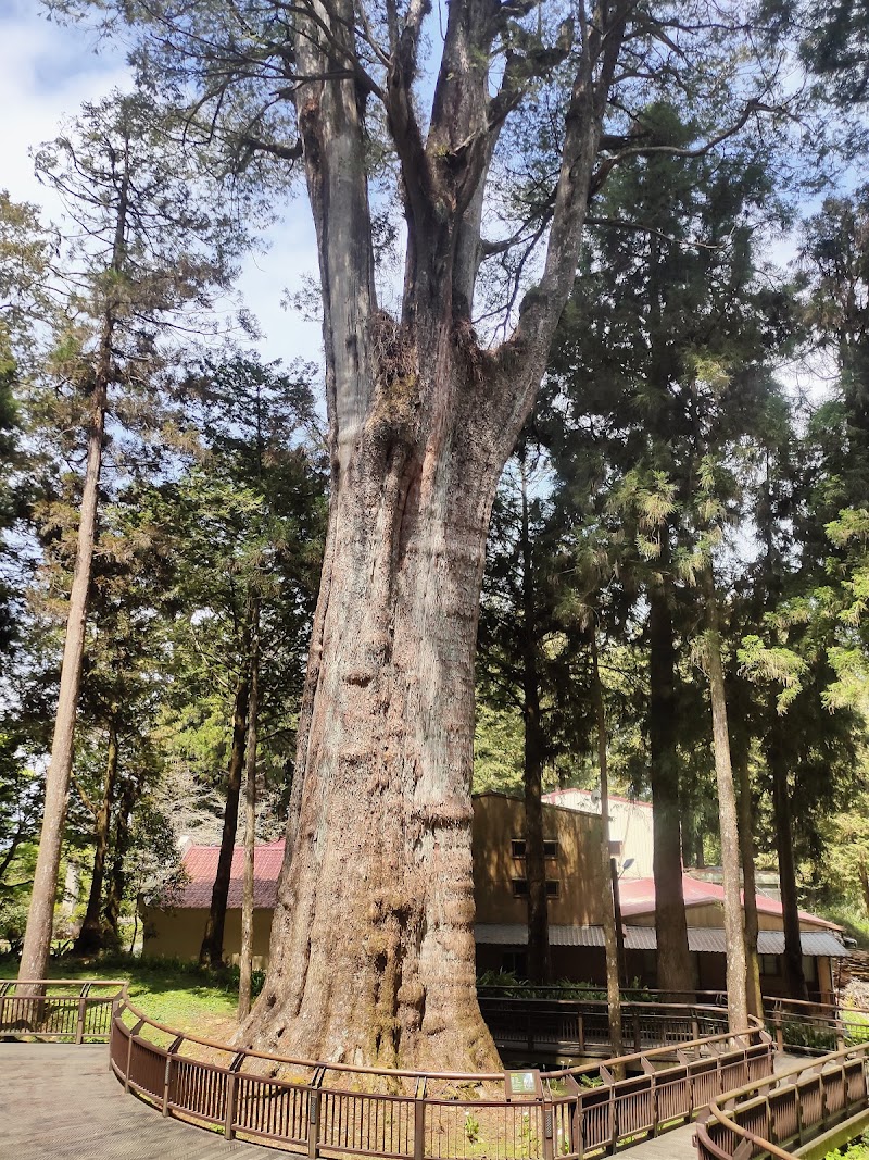 Ciyun Temple - Ciyun Temple 605, Taiwan, Chiayi County, Alishan Township, Xianglin Village, 香林村44號