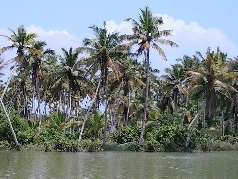 The Great Backwaters - The Great Backwaters G9G5+95J, Lake, Punnamada, Vembanad, Aryad South, Kerala 688006, India