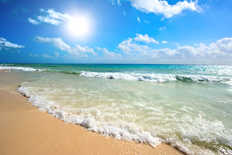 Goa Taxi - Goa Taxi, house no, 1147, behind rahi coral resort, Maddo vaddo, Khobra Waddo, Calangute, Goa 403516, India