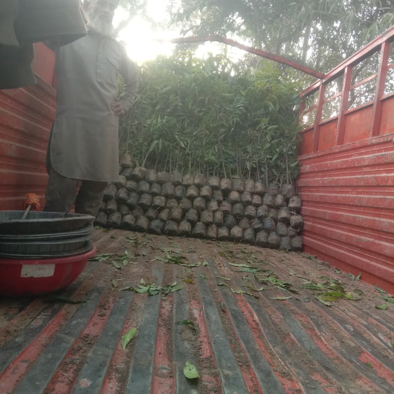 Vrikshawali - An Environmental Preservation Society - Vrikshawali - An Environmental Preservation Society, G.S. Residency 2nd, Flat No. F2, Plot No.141, Purani Chungi,, Ajmer Rd, Modi Nagar, Nirmohi Nagar, Jaipur, Rajasthan 302019, India