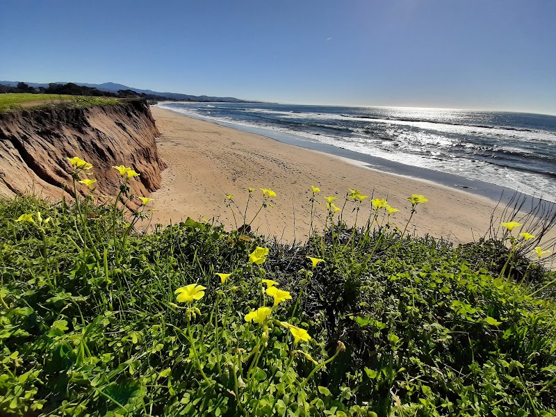 Half Moon Bay State Beach - Half Moon Bay State Beach 2 Venice Blvd, Half Moon Bay, CA 94019, USA