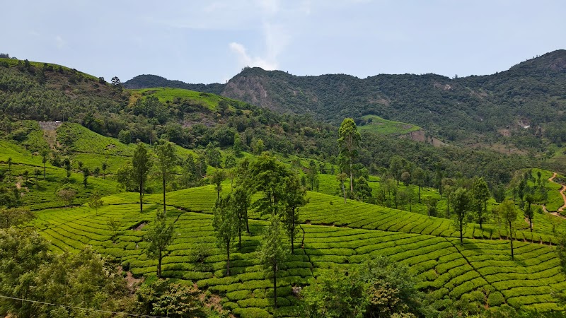 Kerala Holidays Pvt. Ltd. केरल टूर पैकेज - Kerala Holidays Pvt. Ltd. केरल टूर पैकेज, NH Bypass, above Bread World, Thykoodam, Vyttila, Kochi, Kerala 682019, India