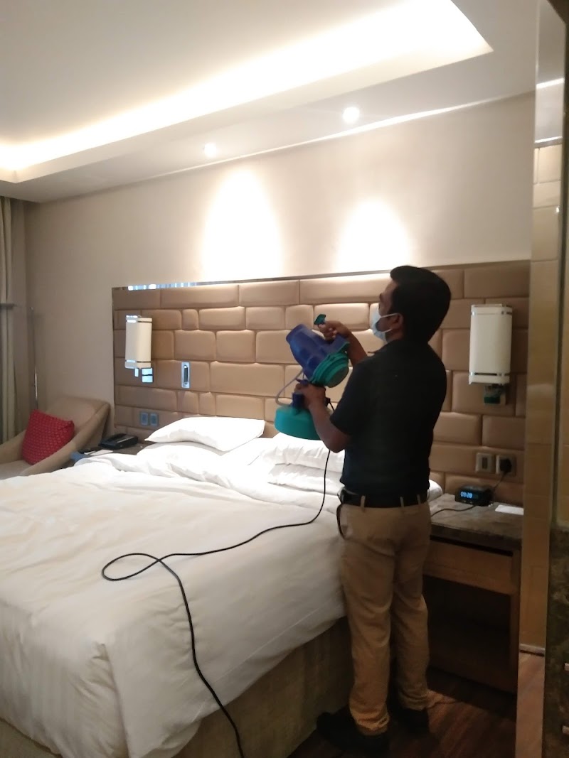 Safe Pest Control Services Pvt Ltd - Safe Pest Control Services Pvt Ltd, 53, MD Block, Ranoji Rao Road, S Cross Rd, Basavanagudi, Bengaluru, Karnataka 560004, India