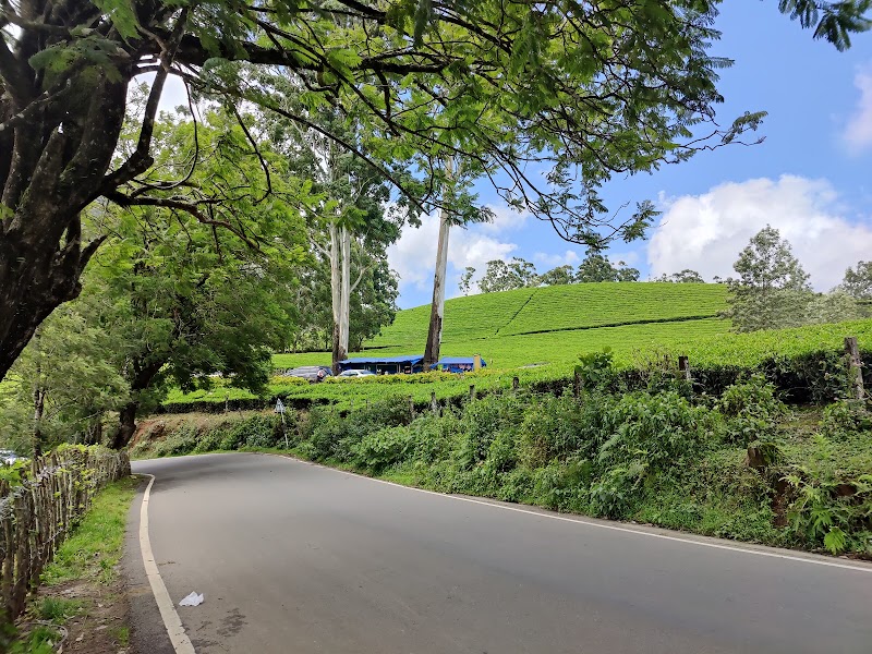 Photo Point - Photo Point Munnar - Top Station Highway, Mattupetty, Munnar, Kannan Devan Hills, Keralam 685616, India