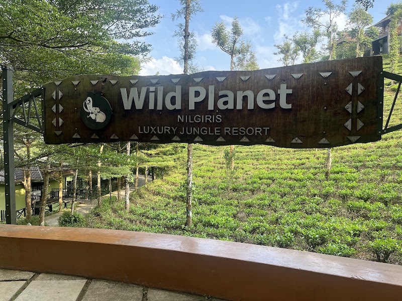 Wild Planet Jungle Resort - Wild Planet Jungle Resort Between Wayanad Hills & Mudumalai Tiger Reserve, Devala, Kerala 679333, India