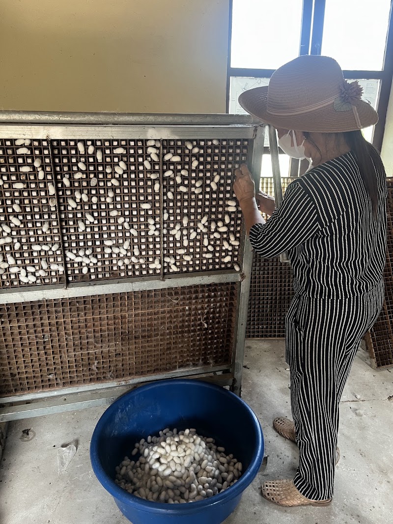 Silk Farm Bến Giá - Silk Farm Bến Giá, Thôn Hạ Trạo, Hoa Lư, Ninh Bình 08000, Vietnam