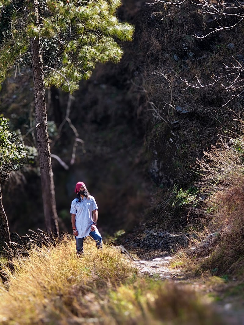 Dunikhal Waterfall - Dunikhal Waterfall CF5C+QR, Naina Range, Uttarakhand 263132, India
