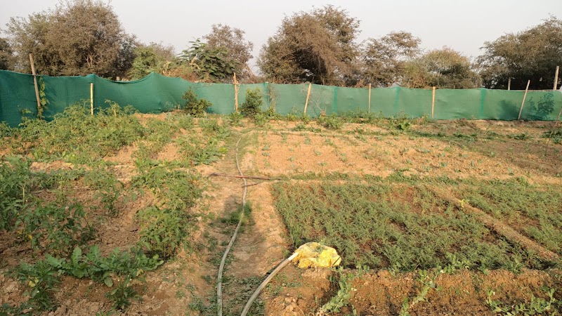 Aravali Retreat