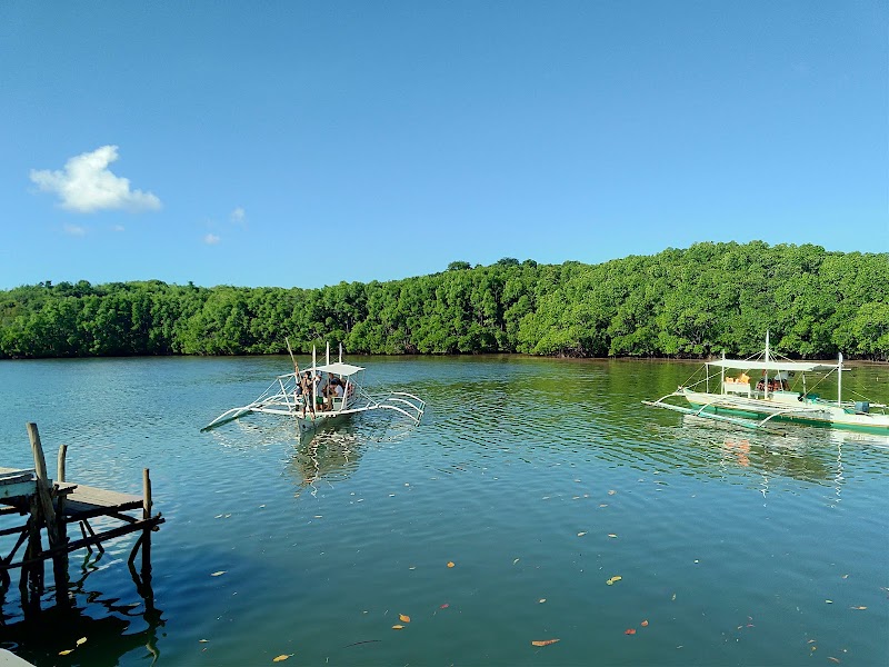 Calauit Island National Park - Calauit Island National Park 7VHJ+4VC, Busuanga, Palawan, Philippines