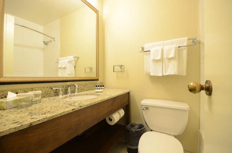 Chelsea Hotel, Toronto - Chelsea Hotel, Toronto 33 Gerrard St W, Toronto, ON M5G 1Z4, Canada