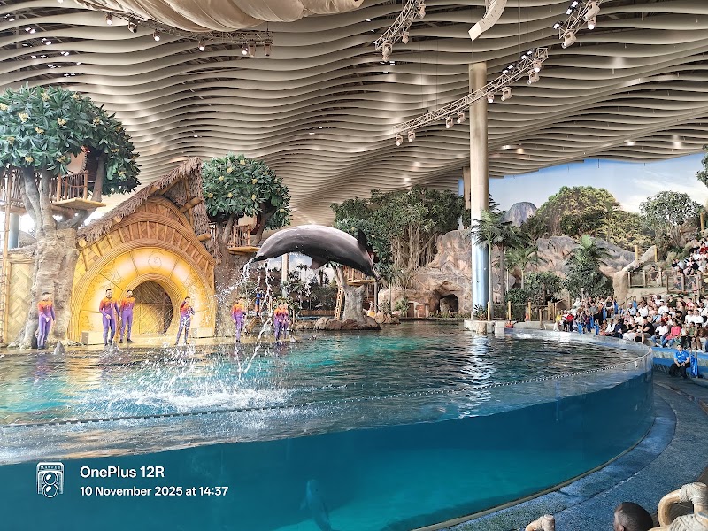 SeaWorld Abu Dhabi | سي وورلد جزيرة ياس، أبوظ - SeaWorld Abu Dhabi | سي وورلد جزيرة ياس، أبوظ Yas Island - YS6 - Abu Dhabi - United Arab Emirates