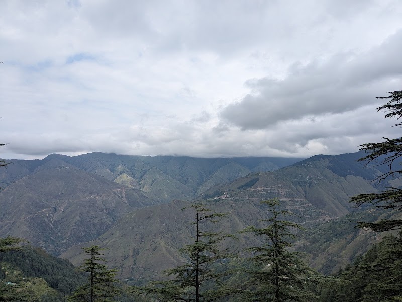 Chakrata Trek and Tours - Chakrata Trek and Tours, Village Jadi, near Deoban, Chakrata C/O, Adventure Park, Chakrata, Jadi, Uttarakhand 248123, India