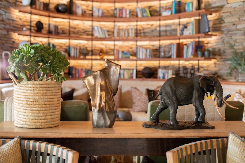 Makanyi Private Game Lodge | Luxury Safari South Africa - Makanyi Private Game Lodge | Luxury Safari South Africa, Middle Road, Kruger Park, Timbavati Private Nature Reserve, Hoedspruit, 1380, South Africa