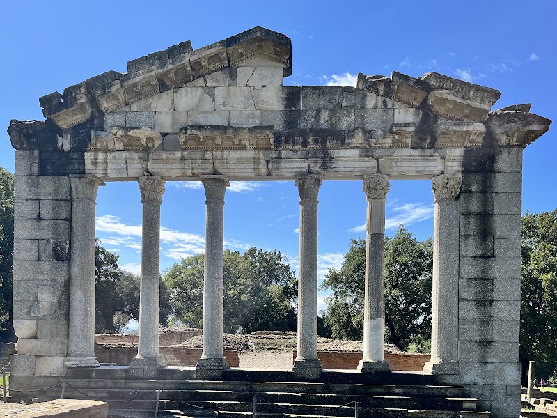 Apollonia