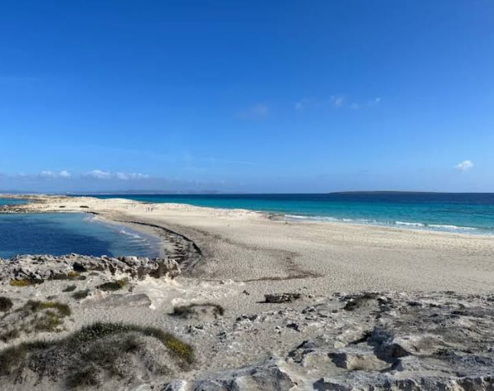 Platja de Ses Illetes - Platja de Ses Illetes, 07871, Illes Balears, Spain