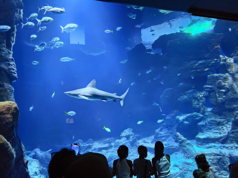 Planet Ocean Montpellier - Planet Ocean Montpellier Centre commercial Odysseum, All. Ulysse, 34000 Montpellier, France