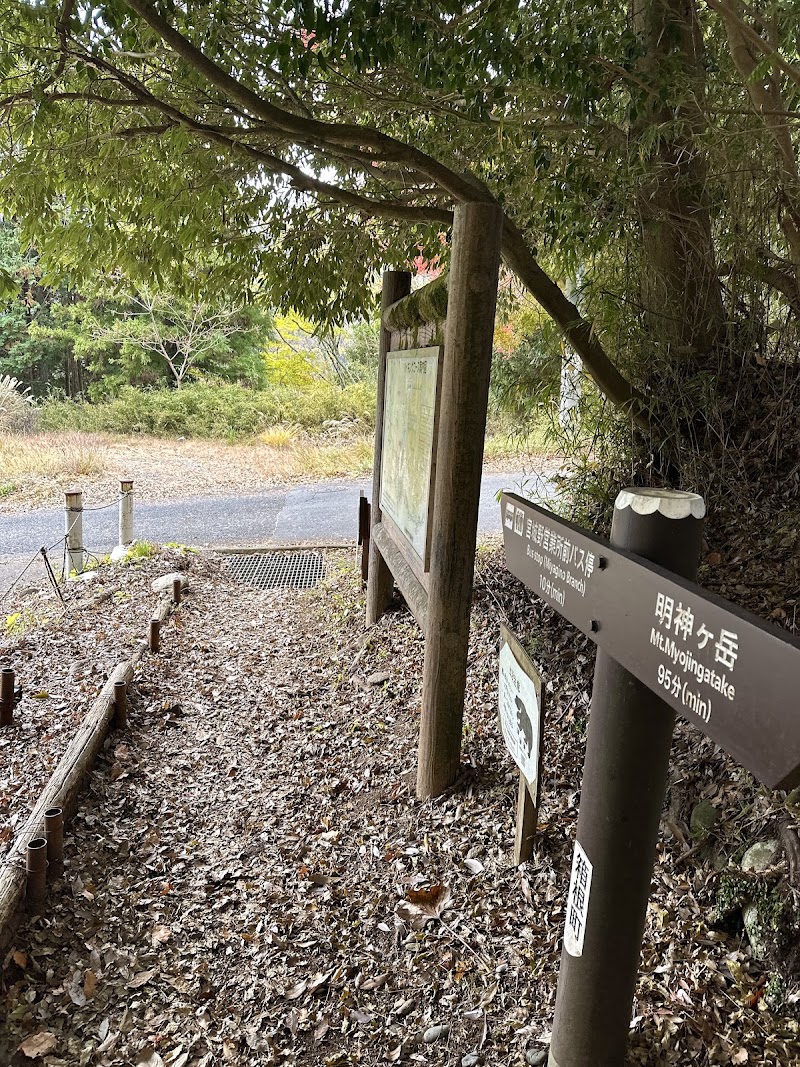 Miyagino - Miyagino, Hakone, Ashigarashimo District, Kanagawa 250-0401, Japan