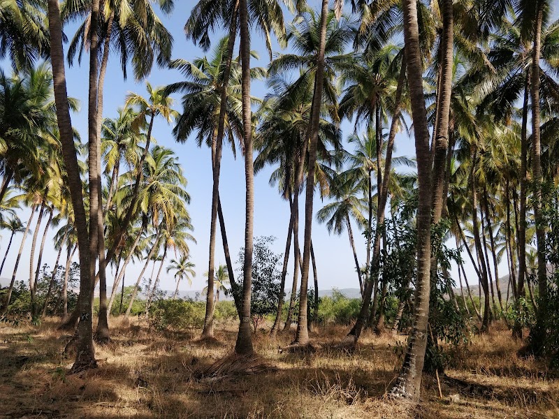 Kalinje - Kalinje Kalinje, Maharashtra 402110, India