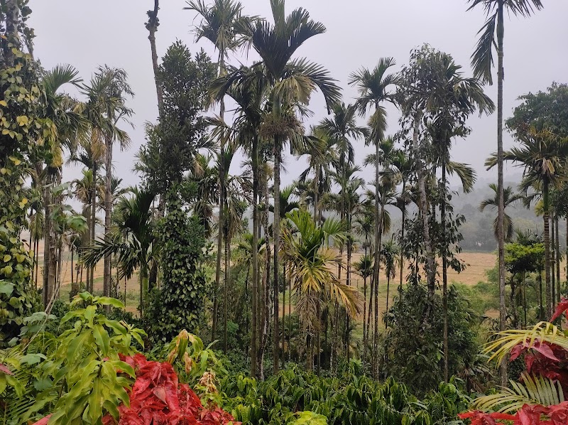 Blue Moon Homestay - Blue Moon Homestay 3J2C+RPF Kanchur Estate, Taluk, Hanthur, Kanchuru, Karnataka 577132, India