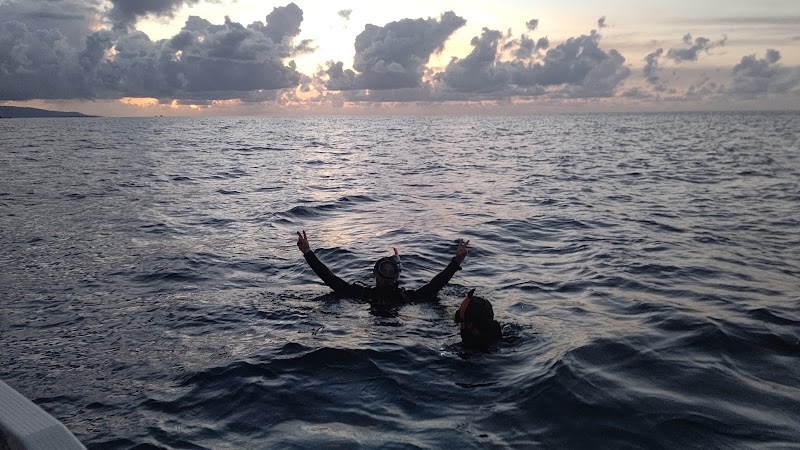 八重山Diving Service Field - 八重山Diving Service Field 1-chōme-14番地 Yashimachō, Ishigaki, Okinawa 907-0011, Japan