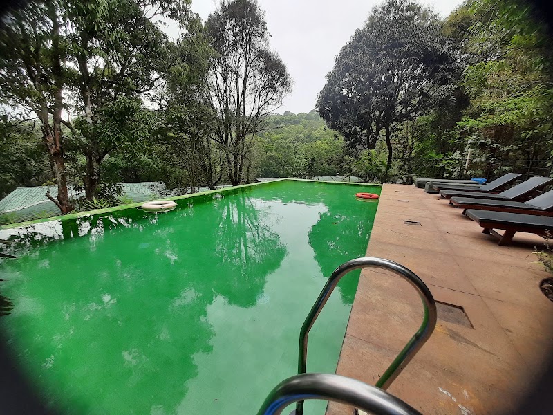 Wayanad Wild - CGH Earth - Wayanad Wild - CGH Earth Lakkidi, Kunnathidavaka, Kerala 673576, India