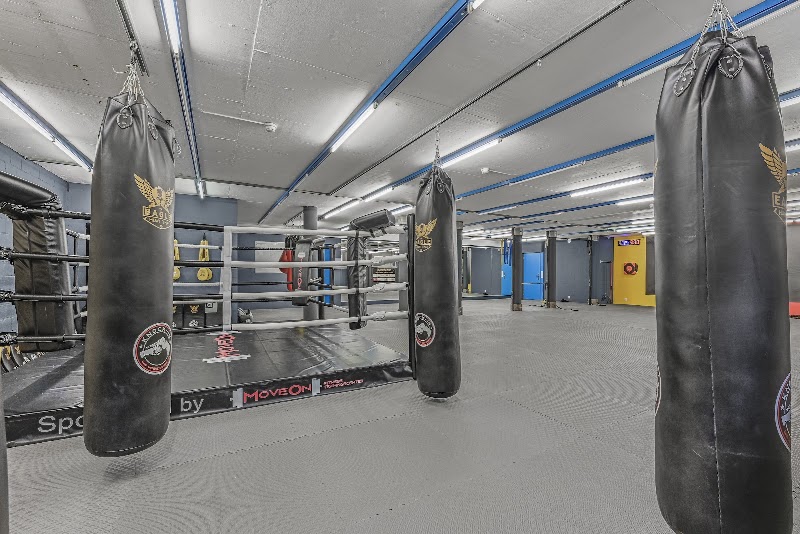 Eagle Muay Thai - Eagle Muay Thai Kreuzbuchstrasse 44, 6006 Luzern, Switzerland