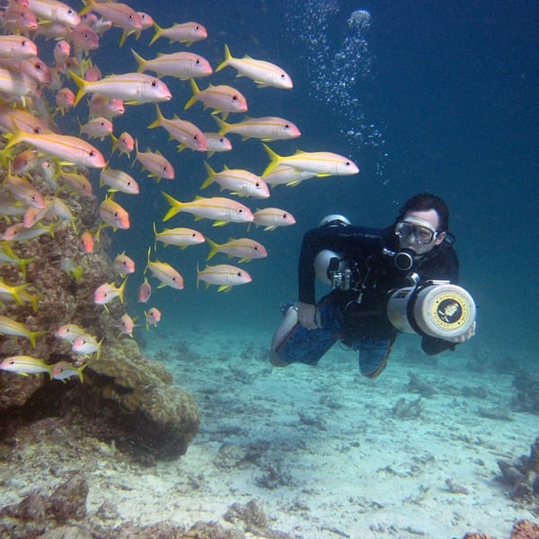 Racha Yai Dive Spot - Racha Yai Dive Spot J94H+M32, Rawai, Mueang Phuket District, Phuket 83100, Thailand