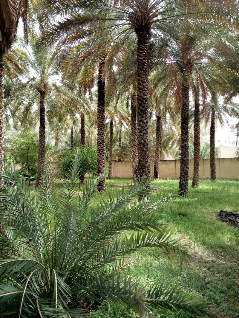 Al Hajar Mountains - Al Hajar Mountains, Oman