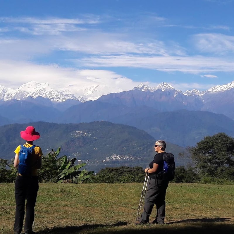 Yangsum Heritage Farm, Yangsum Chingthang - Yangsum Heritage Farm, Yangsum Chingthang Yangsum Chingthang, Block, Rinchenpong, Sikkim 737111, India
