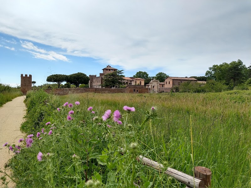 Roman Coast State Nature Reserve - Roman Coast State Nature Reserve, Via del Martin Pescatore, 66, 00124 Roma RM, Italy