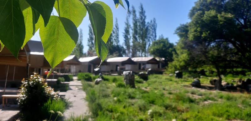 Hunder apricot camp - Hunder apricot camp, Nubra,Hunder 500mtr away from Hunder Monastery on Diskit Turtuk Highway Nubra, Hunder, 194401