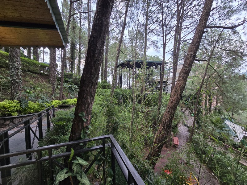 Brook & Pines Restaurant, Microbrewery & Grill - Brook & Pines Restaurant, Microbrewery & Grill Garkhal Kanda Road Kawali PO Kanda, Distt, Tehsil, Kasauli, Himachal Pradesh 173201, India