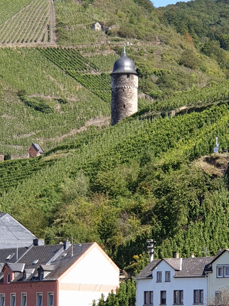 Moselle - Moselle