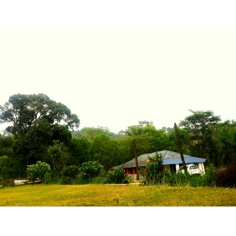 Dreamwoods - Dreamwoods, tea estate jhikkar, Gharoh, Dharamshala, Jhikkar, Himachal Pradesh 176217, India
