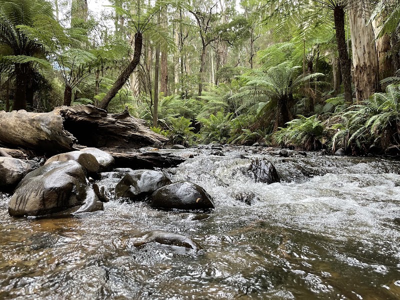 Yarra Ranges National Park - Yarra Ranges National Park, Lockwood Rd, Reefton VIC 3799, Australia
