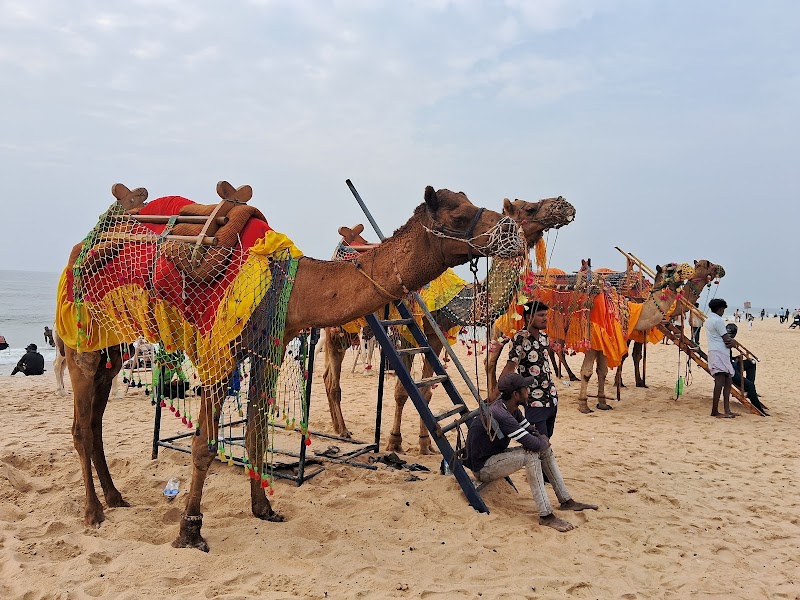 Panambur Beach - Panambur Beach, India