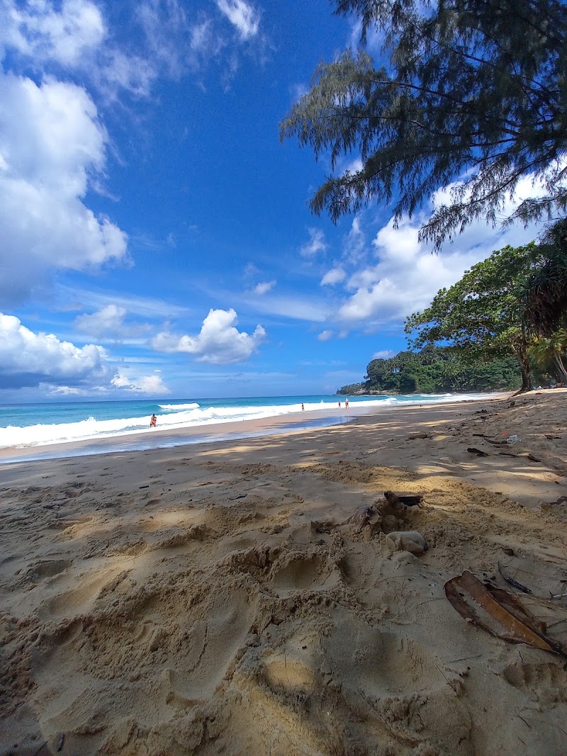 Bangtao Beach Gardens - Bangtao Beach Gardens, ถนน บ้านดอน-เชิงทะเล Tambon Choeng Thale, Amphoe Thalang, Chang Wat Phuket 83110, Thailand