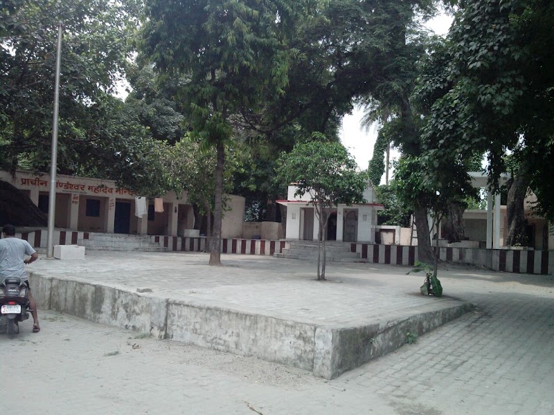 Saini - Saini, Uttar Pradesh 250001, India