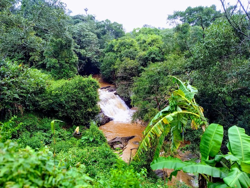 Abbe Gundi Falls - Abbe Gundi Falls 2M6C+96C, Devaladakere, Karnataka 573165, India