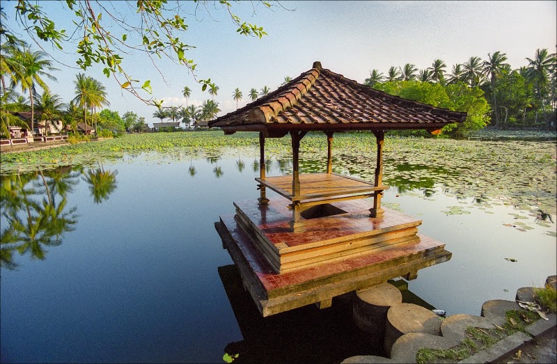 Candidasa Lotus Lagoon - Candidasa Lotus Lagoon, Sengkidu, Manggis, Karangasem Regency, Bali, Indonesia